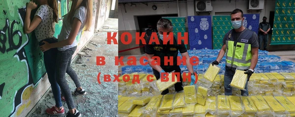 стаф Абинск