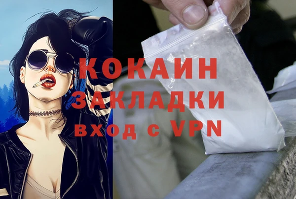 стаф Абинск