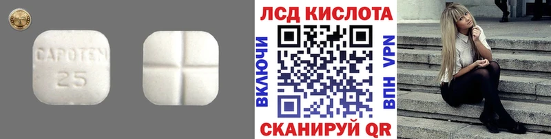 OMG как зайти  Лосино-Петровский  ЛСД экстази ecstasy  shop состав  что такое наркотик 
