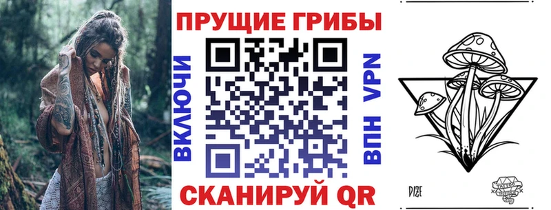Галлюциногенные грибы прущие грибы  Лосино-Петровский 